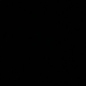 Meet your Posher, Angelina